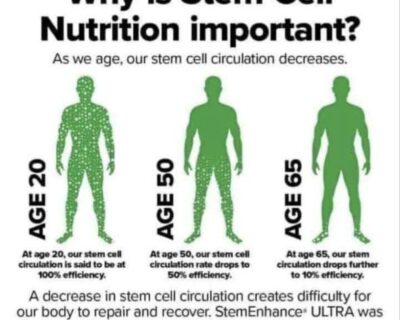 why-is-stem-cell-nutrition-important